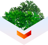 Wormwood