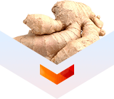 Ginger Root