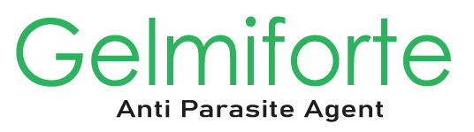 logo-gelmiforte